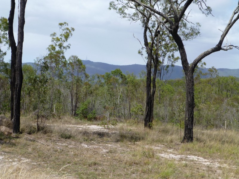 553 BERRIES ROAD, Kullogum QLD 4660