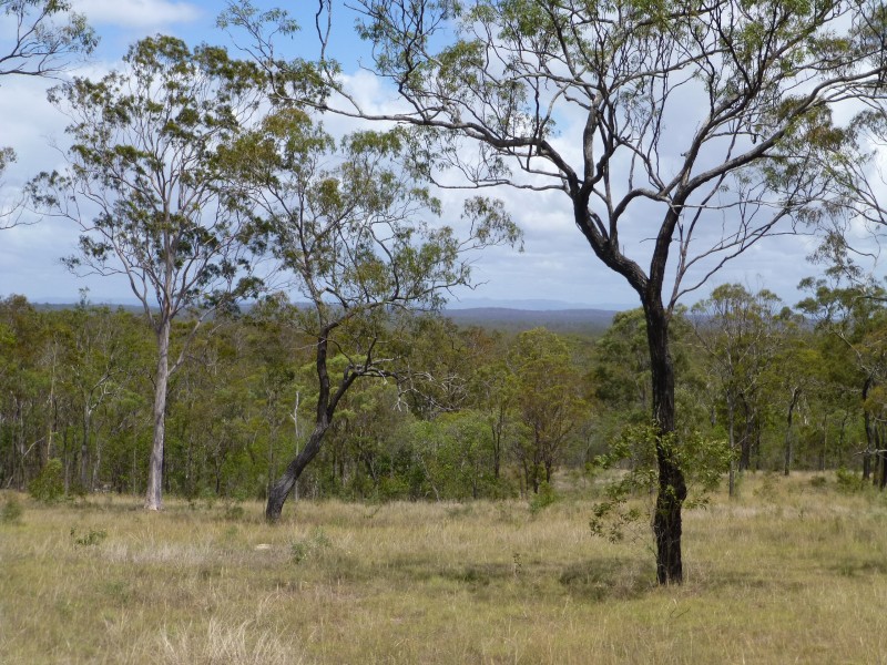 553 BERRIES ROAD, Kullogum QLD 4660
