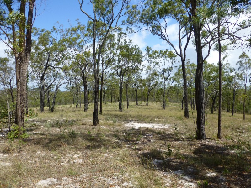 553 BERRIES ROAD, Kullogum QLD 4660