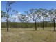 553 BERRIES ROAD, Kullogum QLD 4660