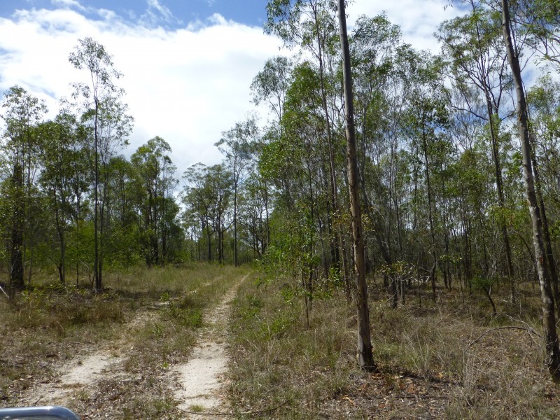 553 BERRIES ROAD, Kullogum QLD 4660
