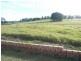33 STANTONS ROAD, North Isis QLD 4660