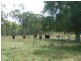Dallarnil QLD 4621