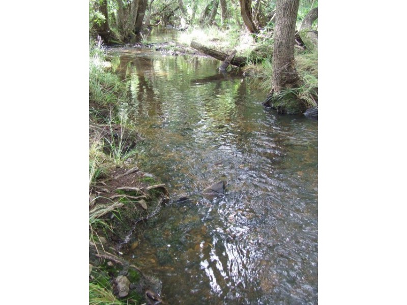 Dallarnil QLD 4621