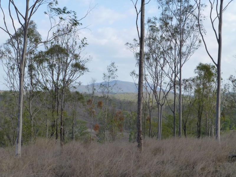 Dallarnil QLD 4621