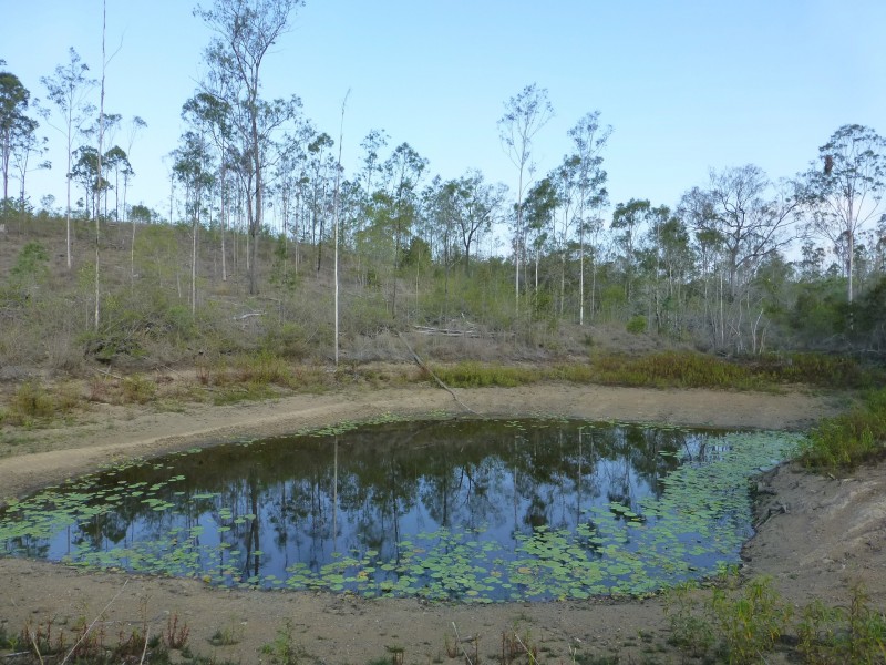 Dallarnil QLD 4621