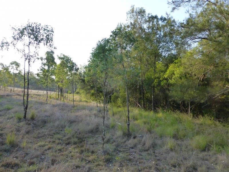 Dallarnil QLD 4621