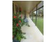 29 LEONARD COURT, Cordalba QLD 4660