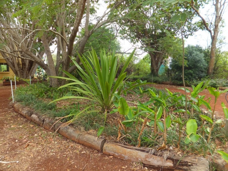 38 CONLONS ROAD, Horton QLD 4660