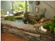 1686 BUXTON ROAD, Buxton QLD 4660