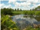 1686 BUXTON ROAD, Buxton QLD 4660