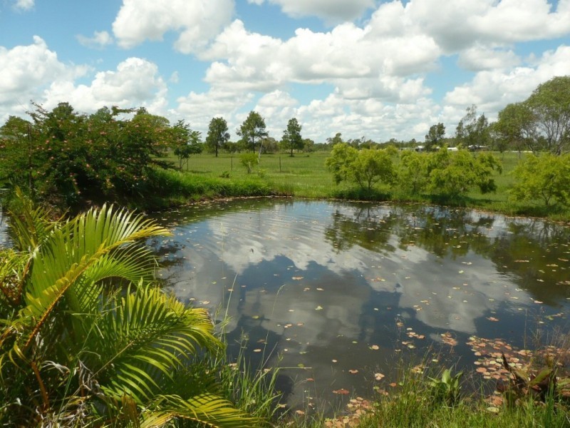 1686 BUXTON ROAD, Buxton QLD 4660