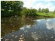 1686 BUXTON ROAD, Buxton QLD 4660
