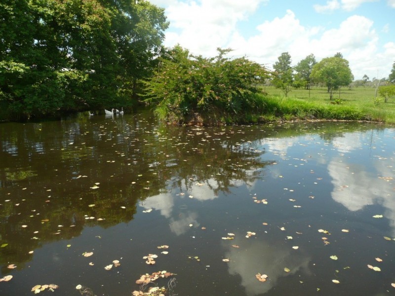 1686 BUXTON ROAD, Buxton QLD 4660