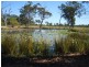 27469 BRUCE HIGHWAY, Isis River QLD 4660