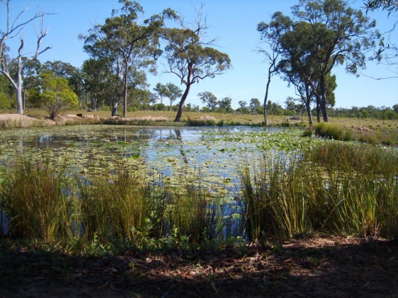 27469 BRUCE HIGHWAY, Isis River QLD 4660