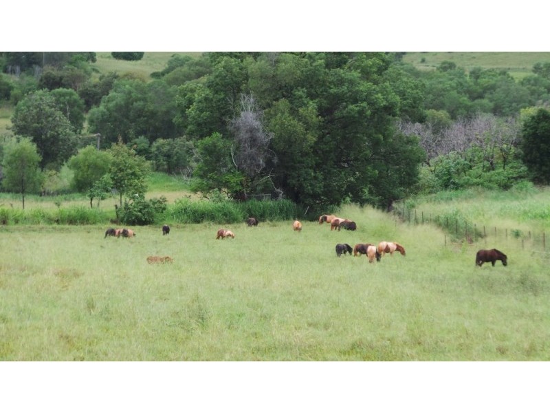 28941 BRUCE HIGHWAY, Childers QLD 4660