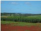 315 HUXLEY ROAD, North Isis QLD 4660