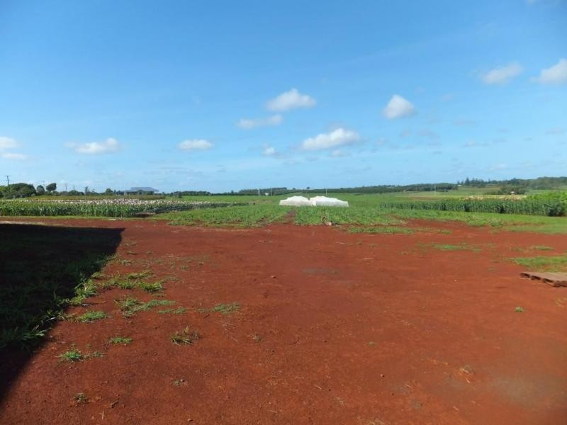 315 HUXLEY ROAD, North Isis QLD 4660