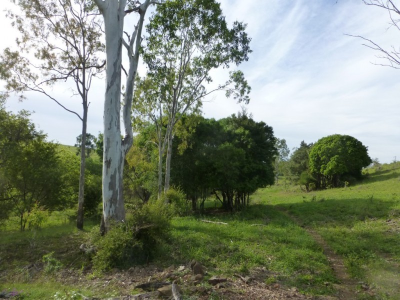 Dallarnil QLD 4621