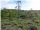 Coringa QLD 4621