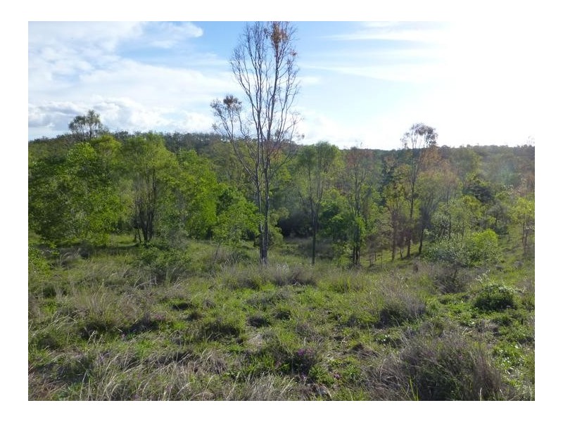 Coringa QLD 4621
