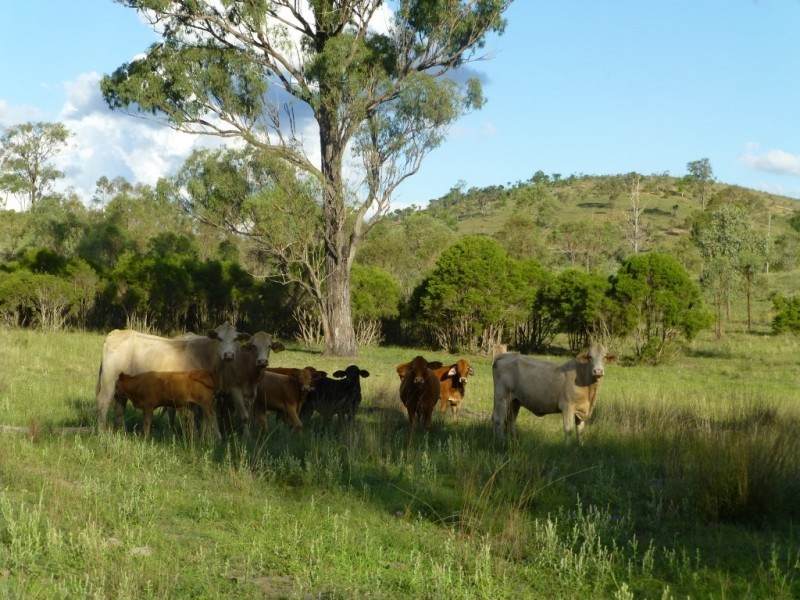 Coalstoun Lakes QLD 4621