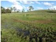 Coalstoun Lakes QLD 4621