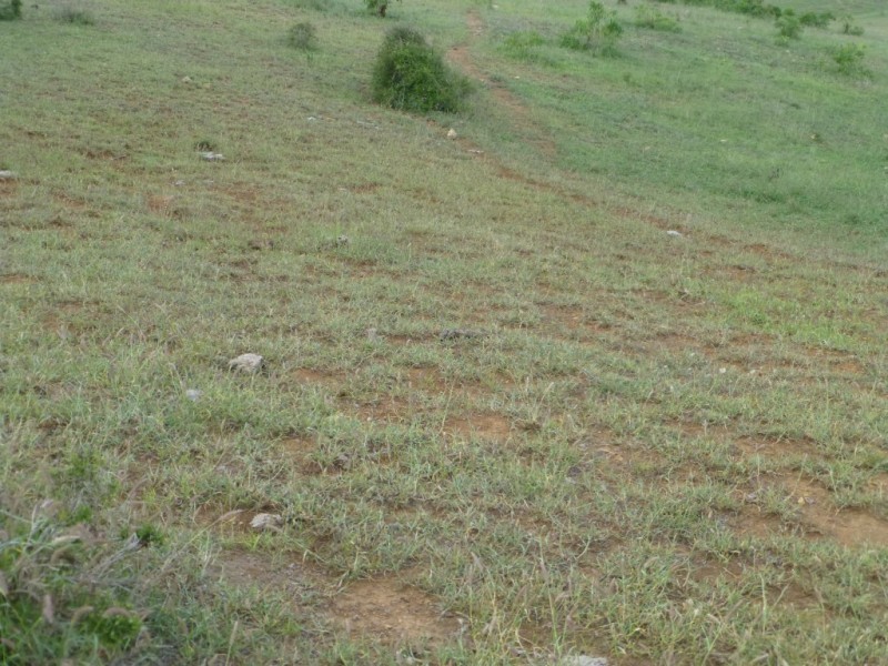 Coalstoun Lakes QLD 4621