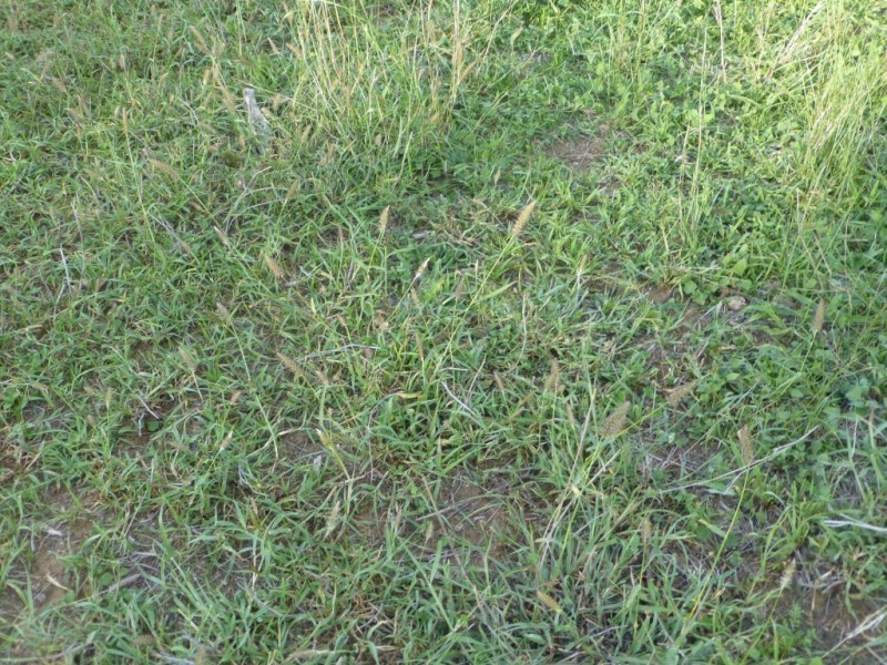 Coalstoun Lakes QLD 4621