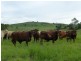 Dallarnil QLD 4621