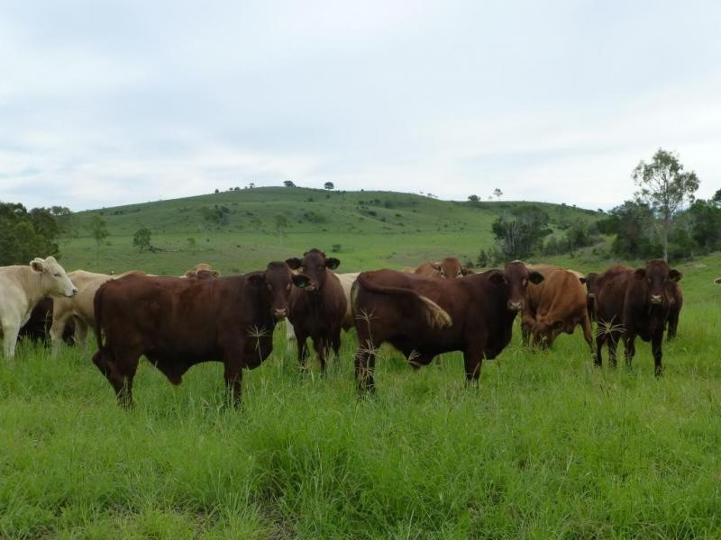 Dallarnil QLD 4621