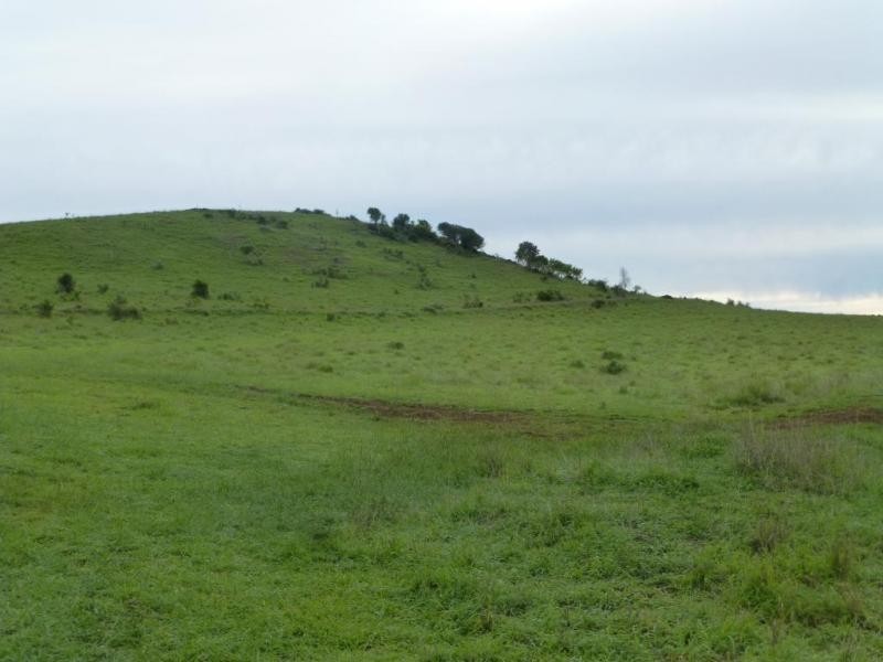 Dallarnil QLD 4621