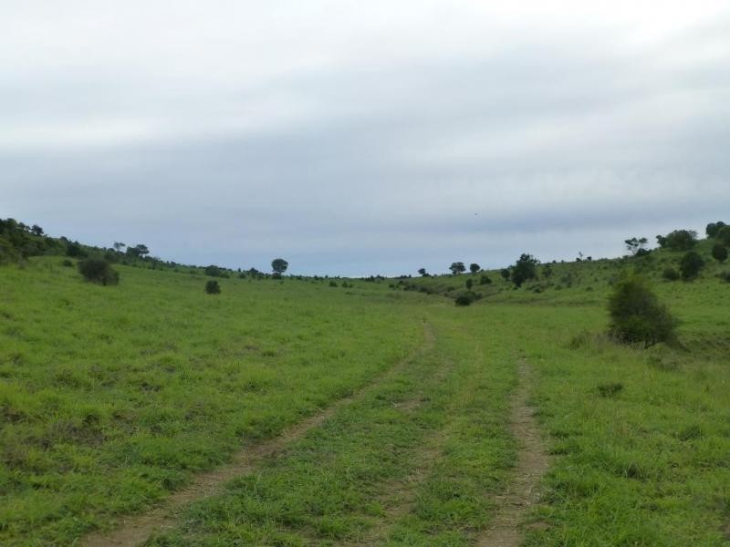 Dallarnil QLD 4621