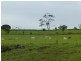 Dallarnil QLD 4621