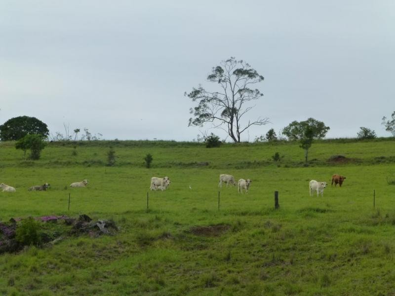Dallarnil QLD 4621