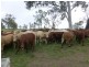 Dallarnil QLD 4621