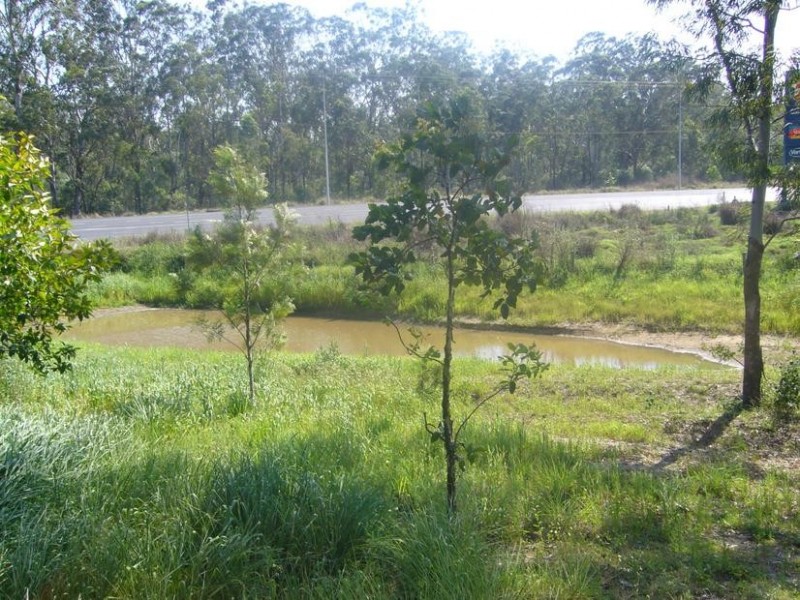 Apple Tree Creek QLD 4660