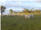 Biggenden QLD 4621
