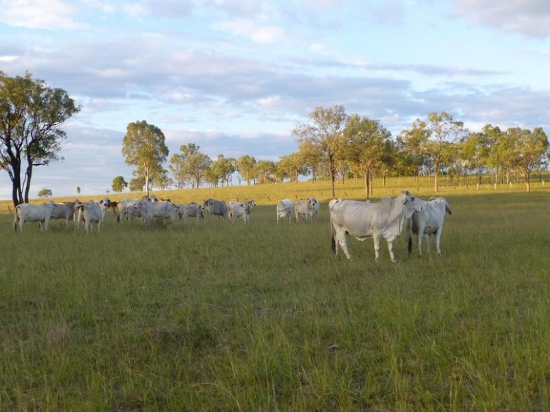 Biggenden QLD 4621