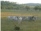 Biggenden QLD 4621