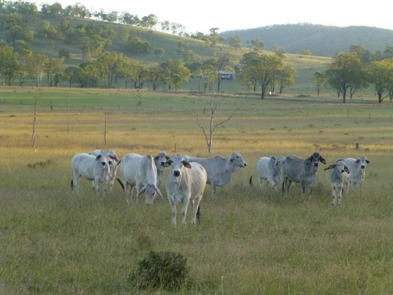 Biggenden QLD 4621