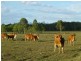 Biggenden QLD 4621
