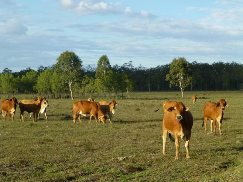 Biggenden QLD 4621