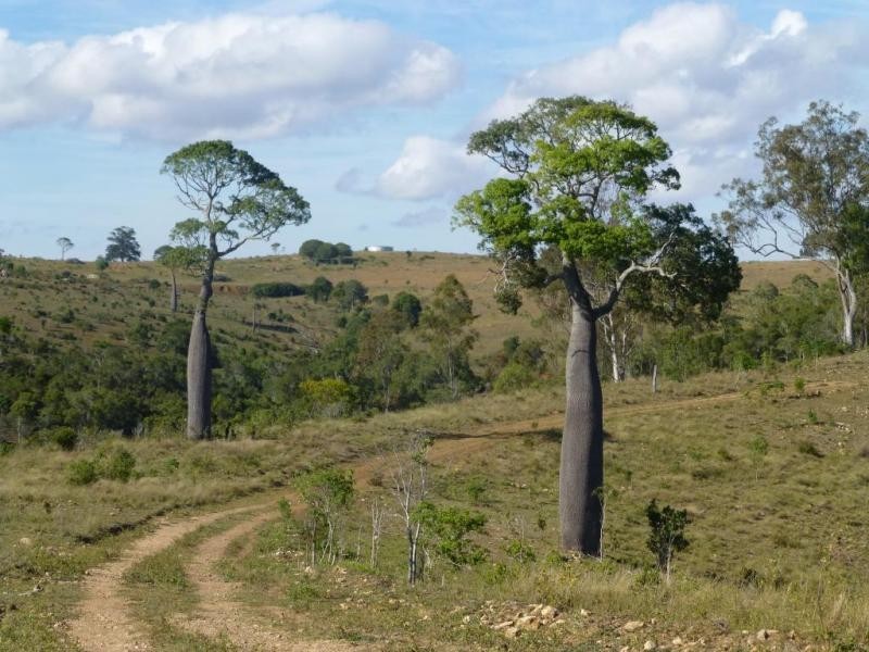Ban Ban QLD 4625