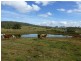 Ban Ban QLD 4625