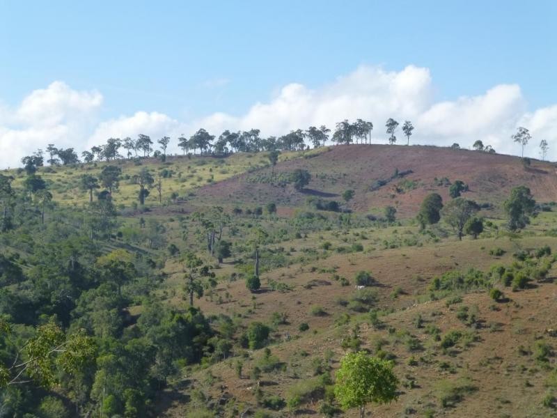 Ban Ban QLD 4625