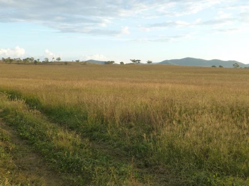 Biggenden QLD 4621