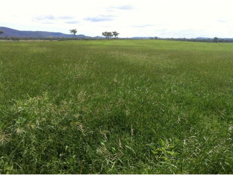 Biggenden QLD 4621