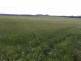 Biggenden QLD 4621